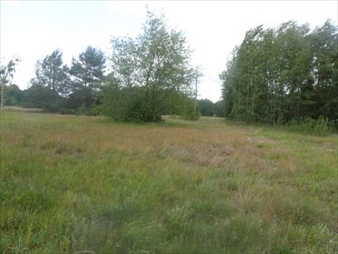 działka na sprzedaż 3362m2 działka Czarne Błoto