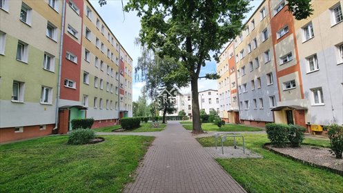 mieszkanie na sprzedaż 39m2 mieszkanie Inowrocław
