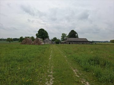 Zapraszam do obejrzenia działki 130 000 m² z zabudową w Mogilnicy działka Mogilnica
