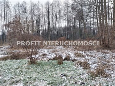 działka na sprzedaż 3293m2 działka Zelów, Łąkowa