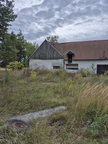 Dom z potencjałem na działalność, 120 m², działka 2 780 m² dom Pniów, Wielowiejska