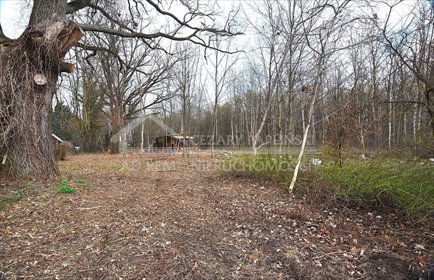 działka na sprzedaż 2980m2 działka Trojaczkowice, Trojaczkowice Duże