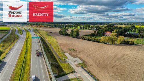 działka na sprzedaż 9821m2 działka Aleksandrowo, Szkolna