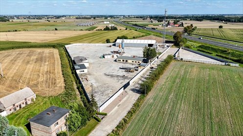 Nowoczesny kompleks biurowo-magazynowy 250 m² - plac 1,7 ha lokal użytkowy Turkowo