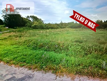 Do sprzedania działka rolna 19 300 m² z wodą i prądem działka Ludwikowo