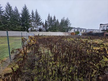 działka na sprzedaż 1183m2 działka Poznań, Junikowo