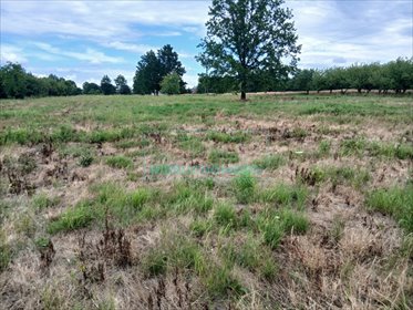 działka na sprzedaż 5100m2 działka Ojrzanów