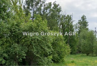 Działka 10 900 m² z domem i mediami - podział i inwestycję. działka Adamówek