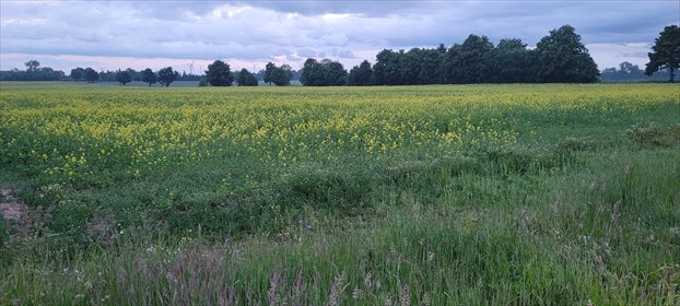 Działka 1000 m2 pod dom lub pensjonat w Śmiechowie. działka Śmiechów