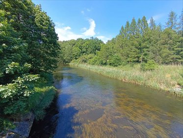 działka na sprzedaż 11923m2 działka Płaszczyca