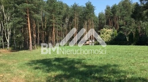 działka na sprzedaż 3351m2 działka Radonie