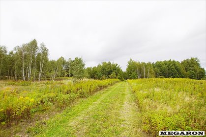 Działka 3070 m² w Woli Mokrzesce - potencjał inwestycyjny działka Wola Mokrzeska