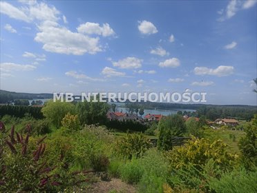 działka na sprzedaż 3164m2 działka Tomaszkowo