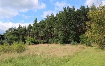 Działka budowlana na sprzedaż Sosnowiec, Maczki, Kolonia Cieśle 2 143m2 Foto 2