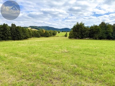działka na sprzedaż 4025m2 działka Michałkowa