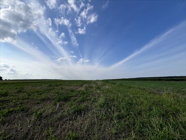 działka na sprzedaż 8166m2 działka Opole