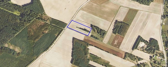 działka na sprzedaż 14000m2 działka Szudziałowo