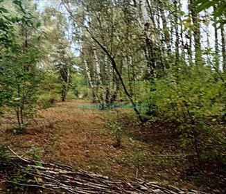 działka na sprzedaż 13000m2 działka Grójec