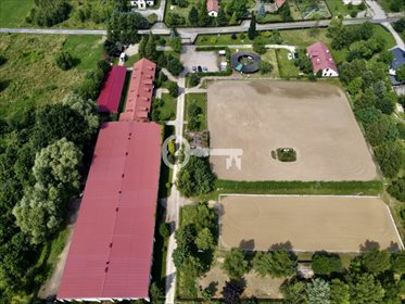 Na sprzedaż przestronna stajnia i pensjonat dla koni 5 ha lokal użytkowy Rumianka, Orzechowa