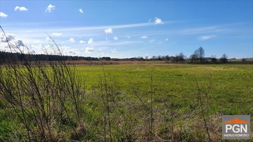 Działka 8300 m² z możliwością podziału - polecam działka POBIEROWO OKOLICA