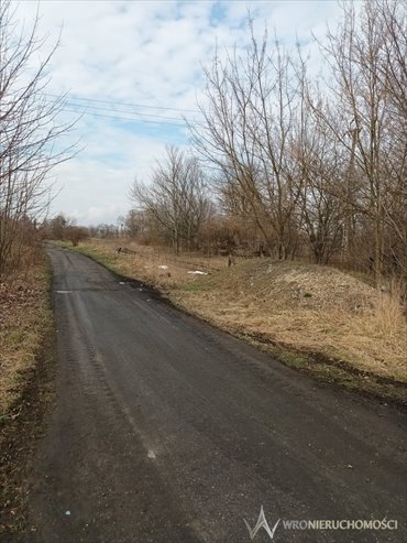 działka na sprzedaż 36500m2 działka Opole