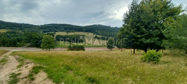 działka na sprzedaż 2120m2 działka Walim