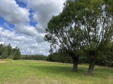 Duża działka 9500 m² z MPZP, las, media, blisko Warszawy działka Pustelnik, Graniczna