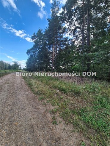 Polecam działki budowlane 1157-1356 m² w Kolonii Borek działka Kolonia Borek