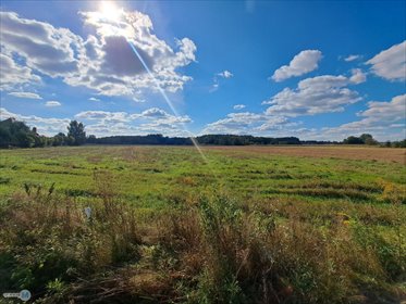 Działka 1975 m² z warunkami zabudowy w Suskrajowicach działka Chmielnik, Suskrajowice, Chmielnik