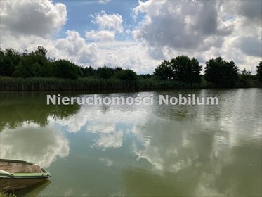 Działka inna na sprzedaż Koniowo 38 300m2 Foto 1