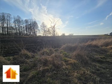 działka na sprzedaż 1758m2 działka Gostynin (gw)