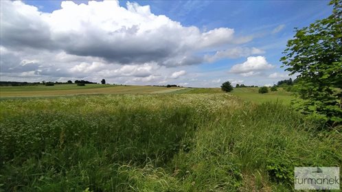 Działka rolna na sprzedaż Stanisławów 16 962m2 Foto 2