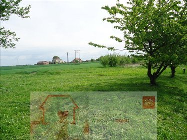 działka na sprzedaż 1200m2 działka Pawlin