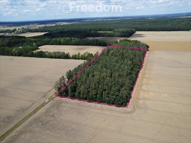 działka na sprzedaż 22900m2 działka Pokinianka