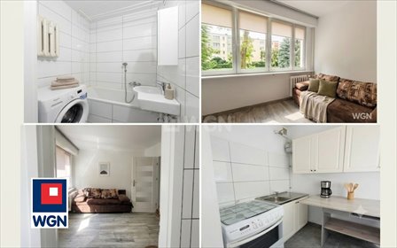 Jasna kawalerka 24 m² z rozkładem i dużymi oknami mieszkanie Kalisz, Widok