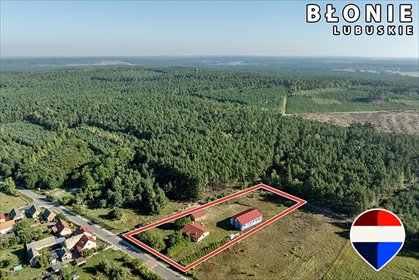 Przestronny dom z halą i potencjałem rozbudowy dom Świebodziński