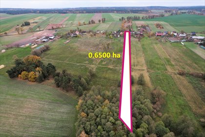 działka na sprzedaż 6500m2 działka Swoboda