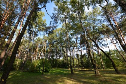 Działka rekreacyjna na sprzedaż Dąbrowa Górnicza, Pogoria 2 433m2 Foto 1