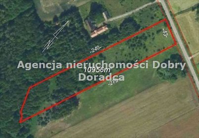 Zapraszam do zakupu działki 10 956 m² w Gurbie blisko Suntago działka Gurba, Główna