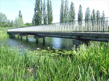 działka na sprzedaż 14700m2 działka Gdańsk, Olszynka