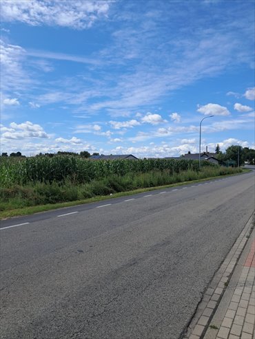Sprzedam działkę inwestycyjną 40 300 m² w Blizanowie działka Blizanów