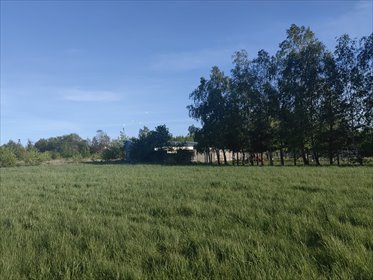 Działka budowlana 1100 m² w Stefanowie, spokojna okolica działka Stefanowo, Stefanowo, Letniskowa
