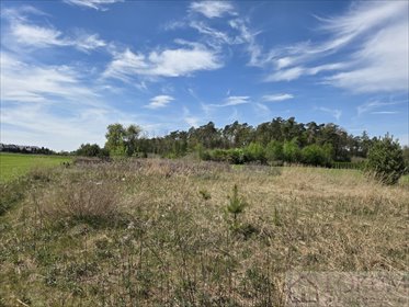 działka na sprzedaż 1100m2 działka Prawiedniki-Kolonia, Pod Dębami