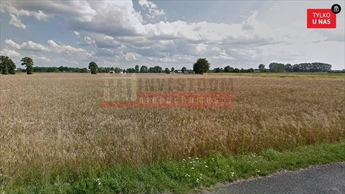 działka na sprzedaż 12400m2 działka Ładza