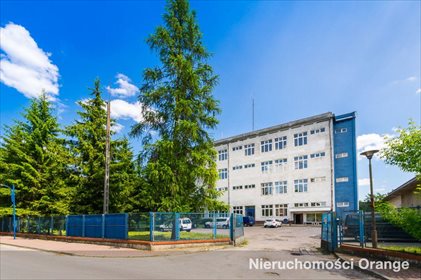 Lokal użytkowy na sprzedaż Ostrowiec Świętokrzyski, Ostrowiec Świętokrzyski, ul. Jana Pawła II 55 2 796m2 Foto 4