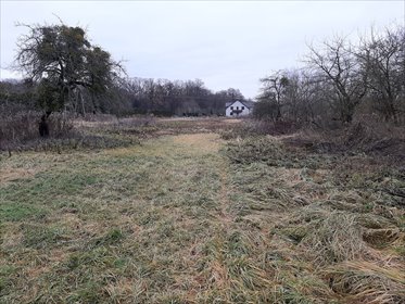 Dwie działki 1000 m² z dostępem do mediów w Pawłowicach działka Wrocław, Pawłowice, Pawłowice