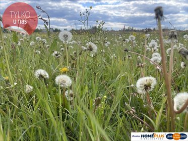 działka na sprzedaż 41902m2 działka Ciemne