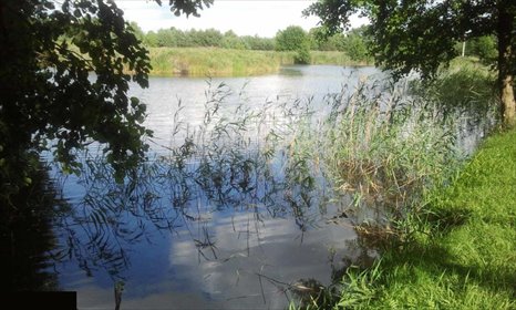 działka na sprzedaż 586m2 działka Klotyldzin, Klonowa