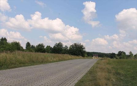 Działka rolna na sprzedaż Łódź, Widzew, Stare Moskule, Opolska 14 997m2 Foto 5
