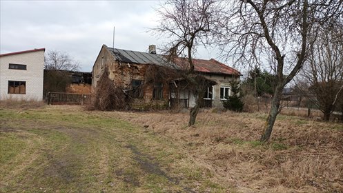 Dom do remontu 150m² w Chodeczu, 1500m² działki dom Chodecz, Apteczna